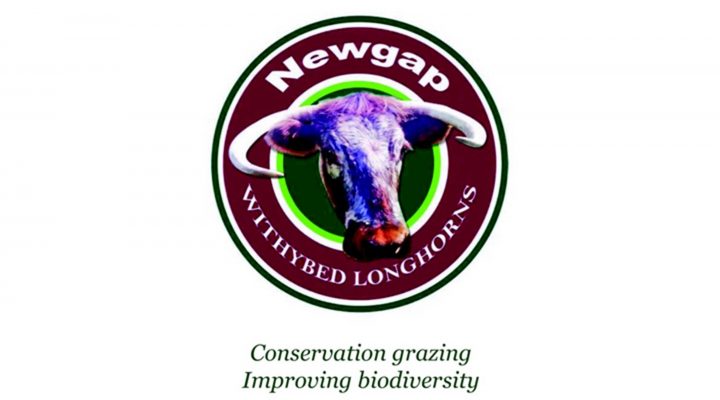 Newgap ltd