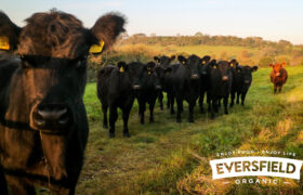 Eversfield Organic Ltd