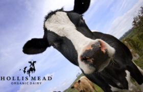 Hollis Mead Organic Dairy
